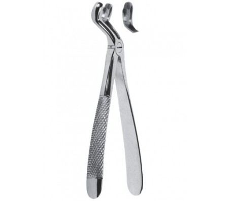 Extracting Forceps